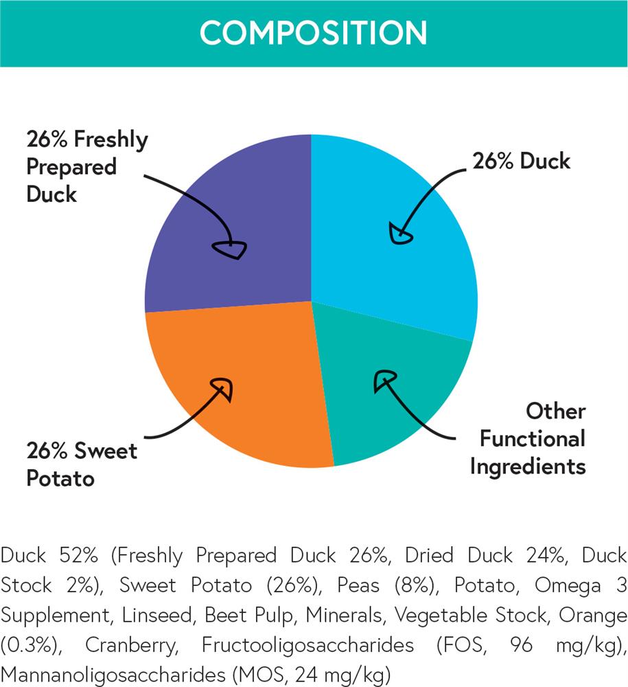 Small Dog Breed Composition